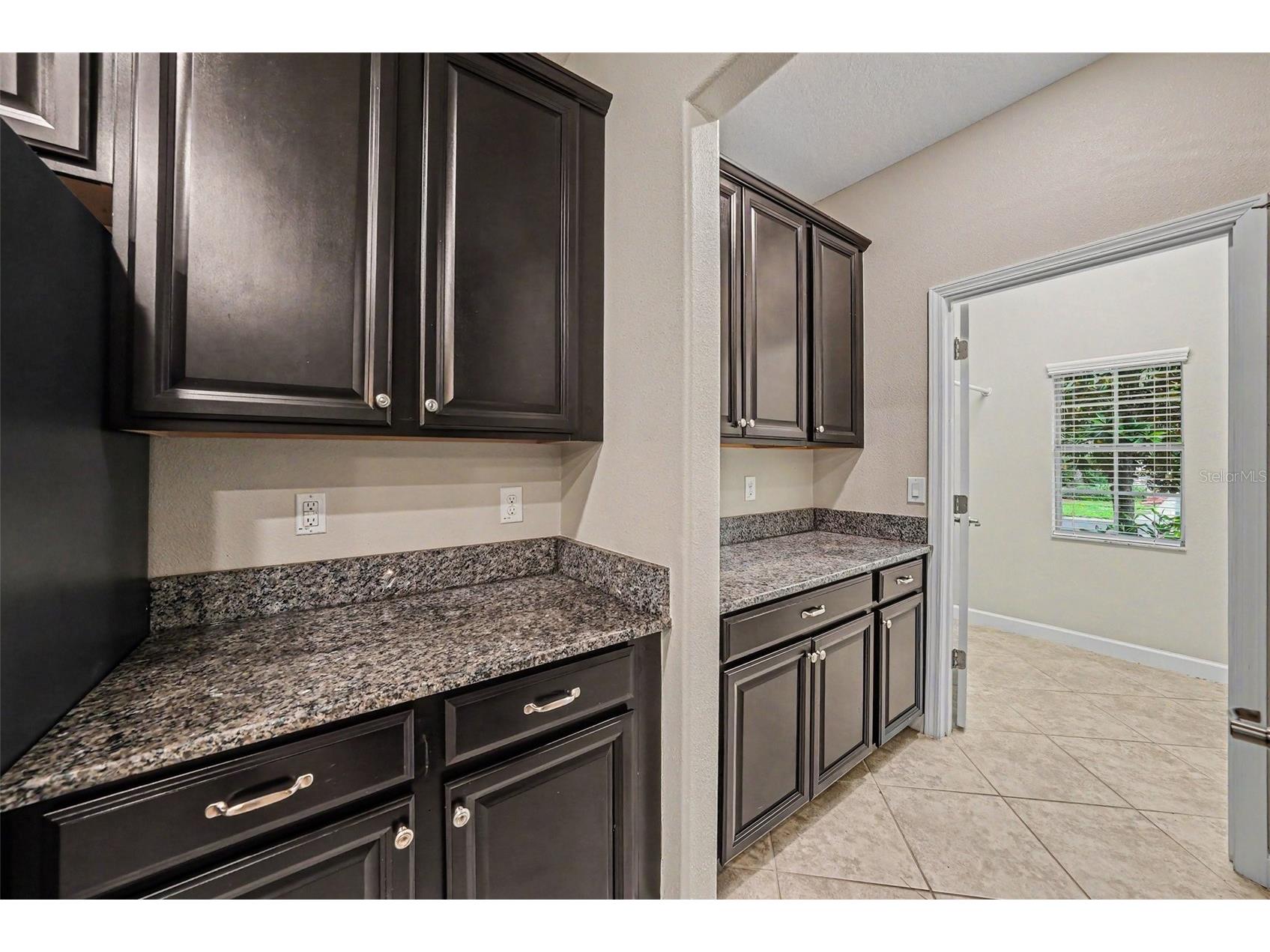 11809 Twilight Darner Place Riverview FL 33569 O6411842 image8