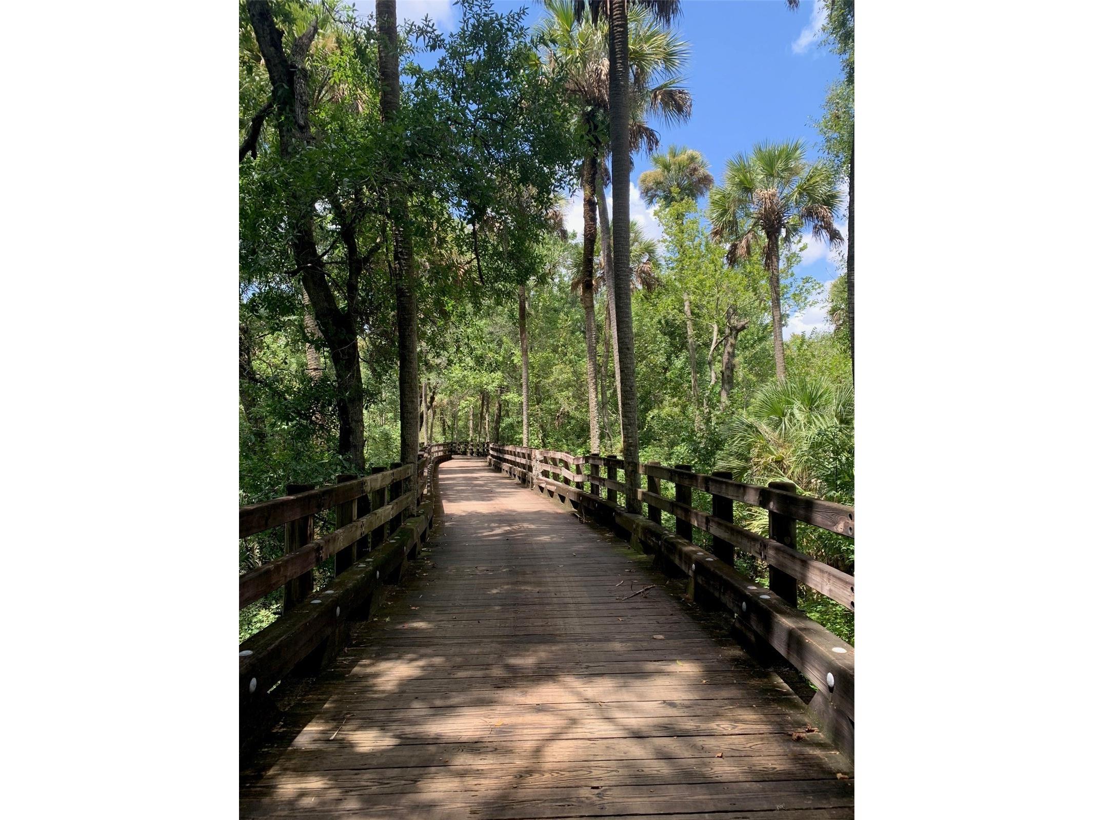 1181 Castle Pines Court Reunion FL 34747 O6377851 image76