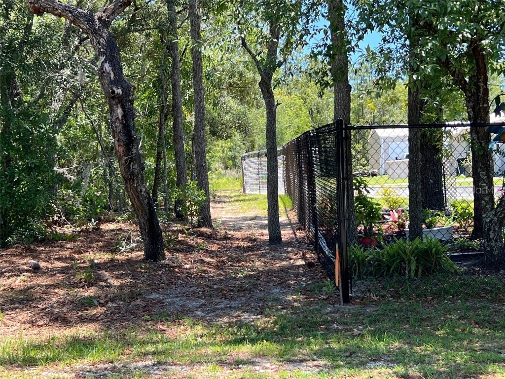 1181 W Cushman Court Lecanto FL 34461 OM679258 image1