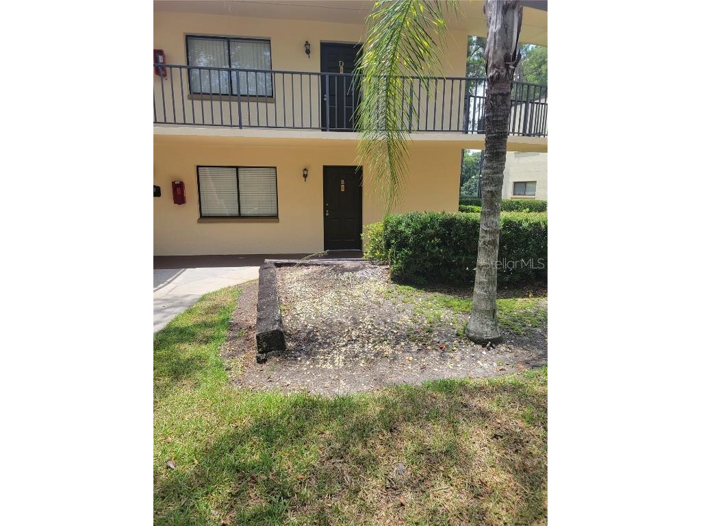 11810 Raintree Lake Lane #B Tampa FL 33617 T3535283 image1
