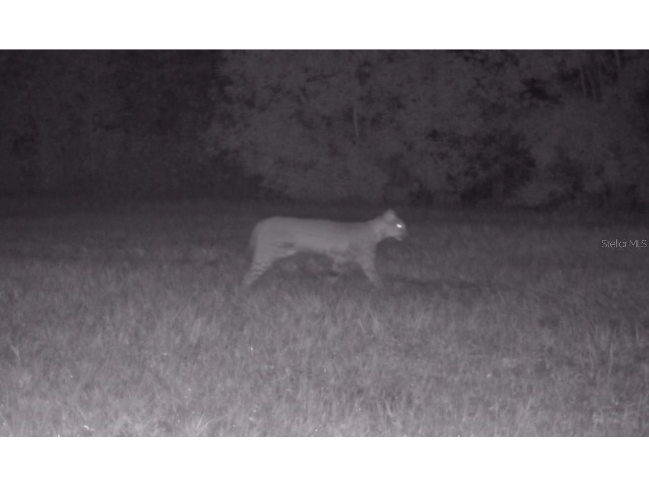 11810 SE County Road 234 Micanopy FL 32667 GC527324 image11