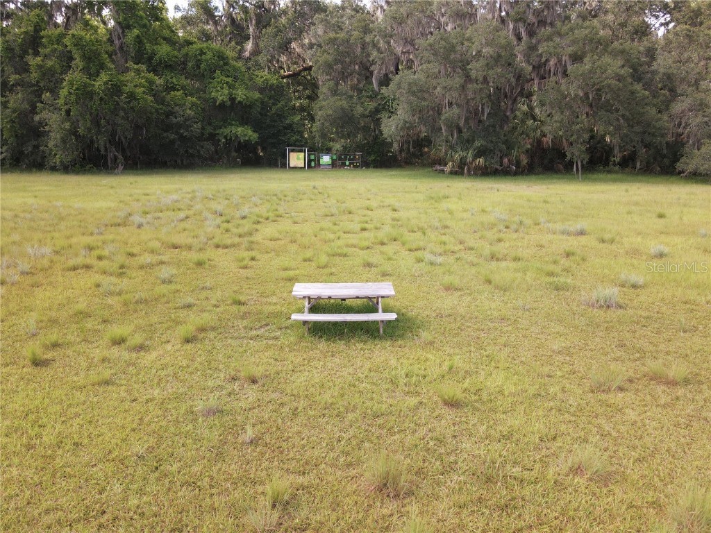 11810 SE County Road 234 Micanopy FL 32667 GC527324 image14