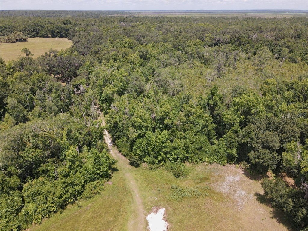 11810 SE County Road 234 Micanopy FL 32667 GC527324 image17