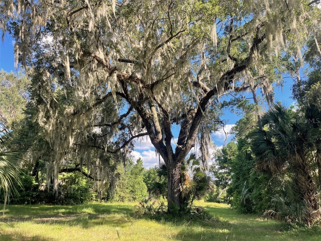 11810 SE County Road 234 Micanopy FL 32667 GC527324 image71