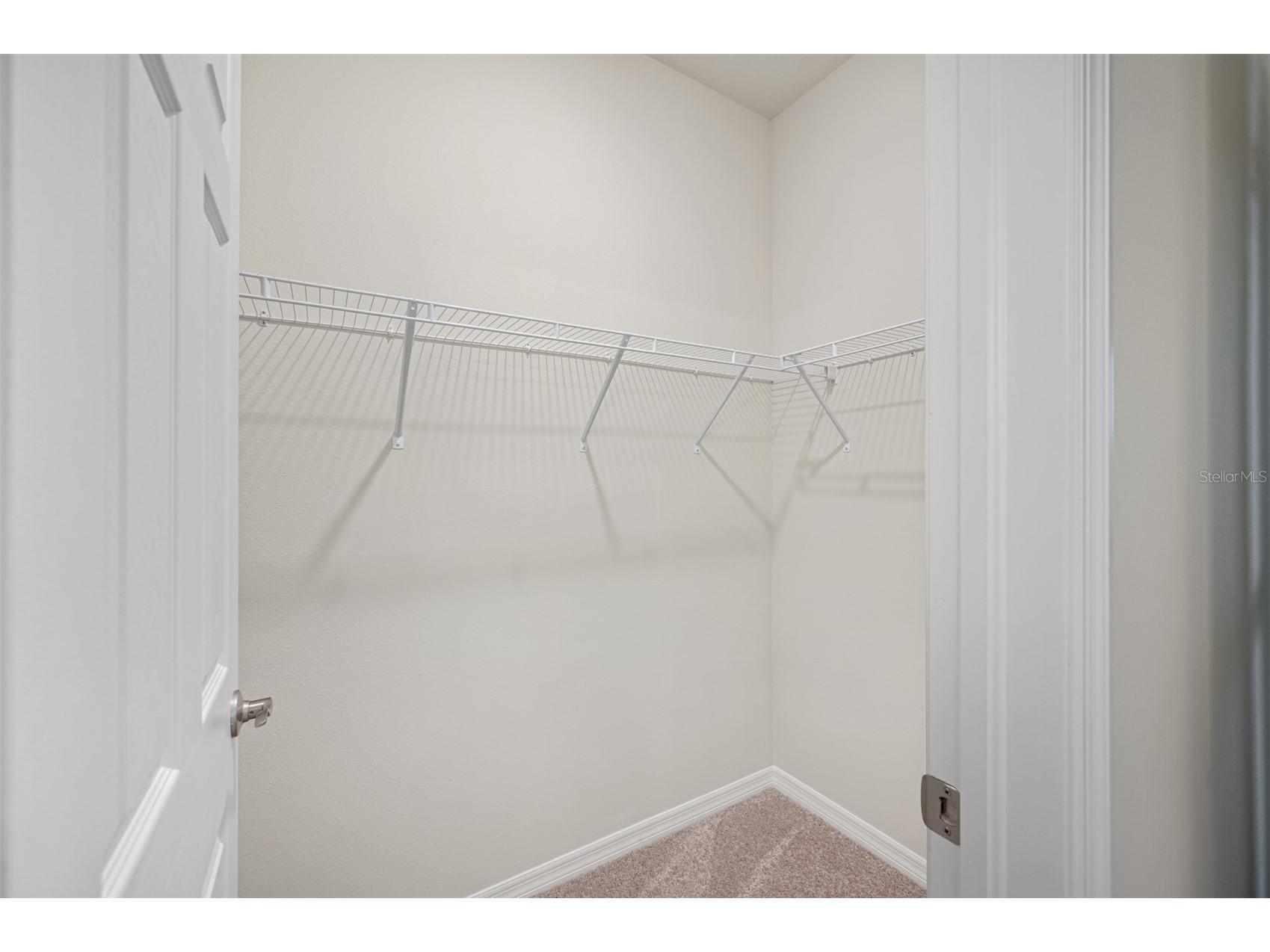 11810 Tetrafin Drive Riverview FL 33579 TB8492990 image15