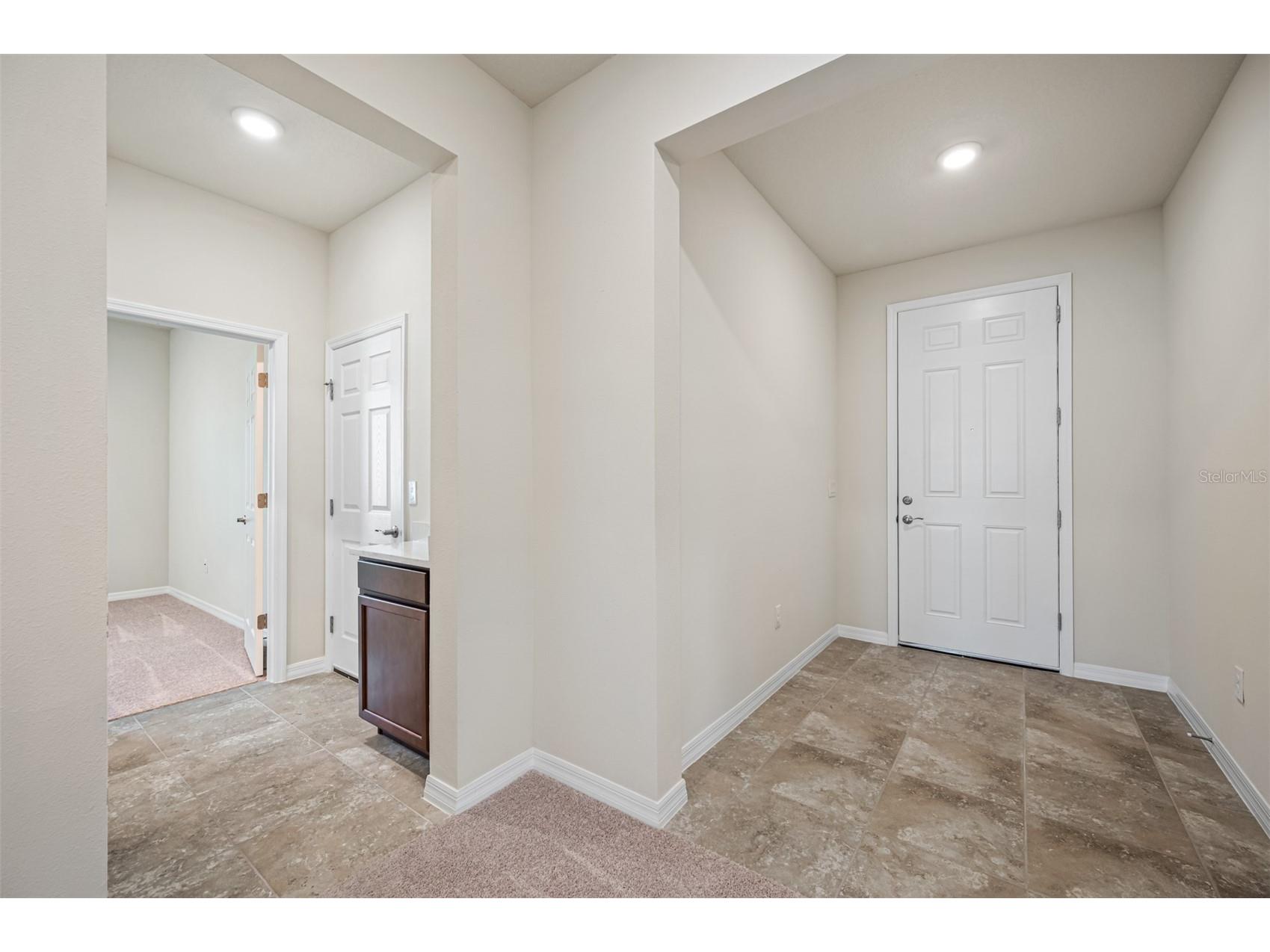 11810 Tetrafin Drive Riverview FL 33579 TB8492990 image26