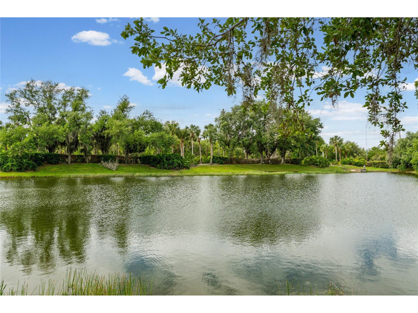 11811 Dunster Lane Parrish FL 34219 A4688517 image45