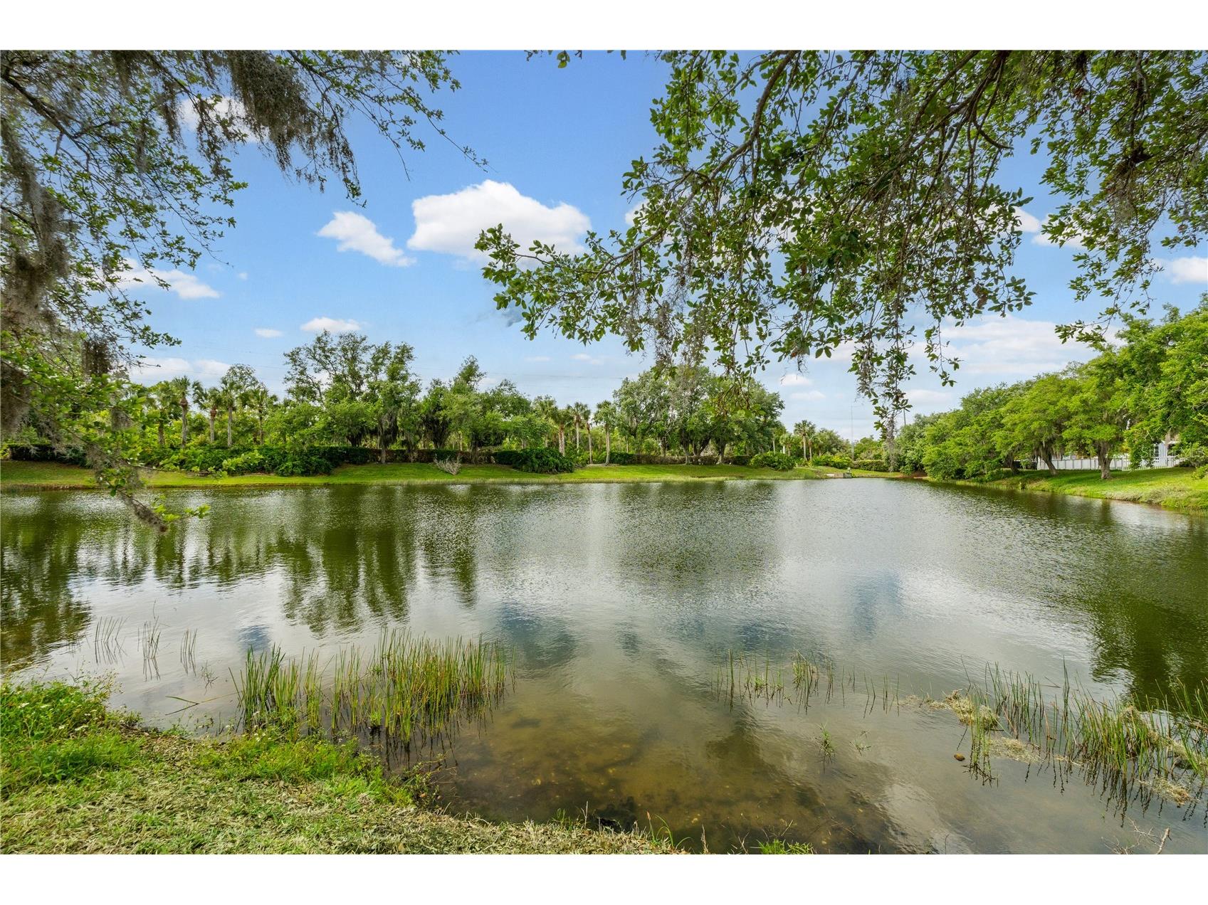 11811 Dunster Lane Parrish FL 34219 A4688517 image46