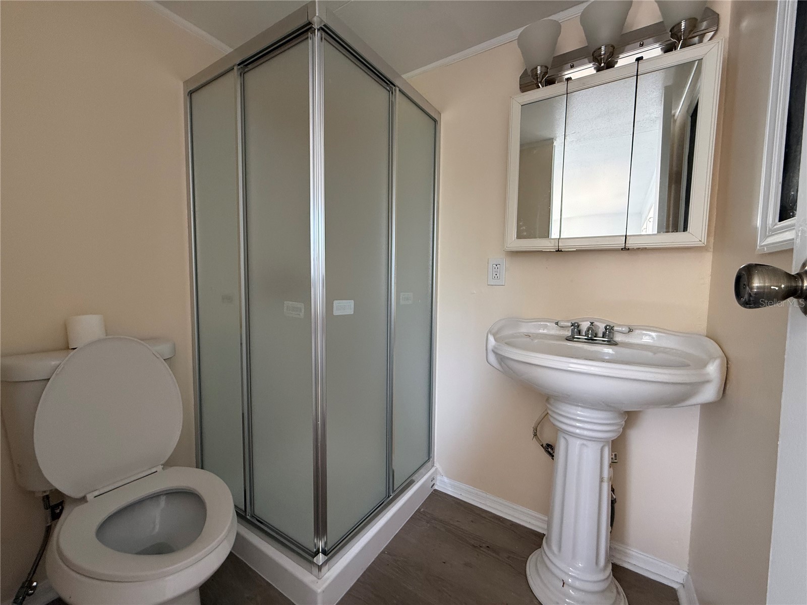 11812 SW Spring Lake Drive Arcadia FL 34269 - Spring Lake C7509274 image12