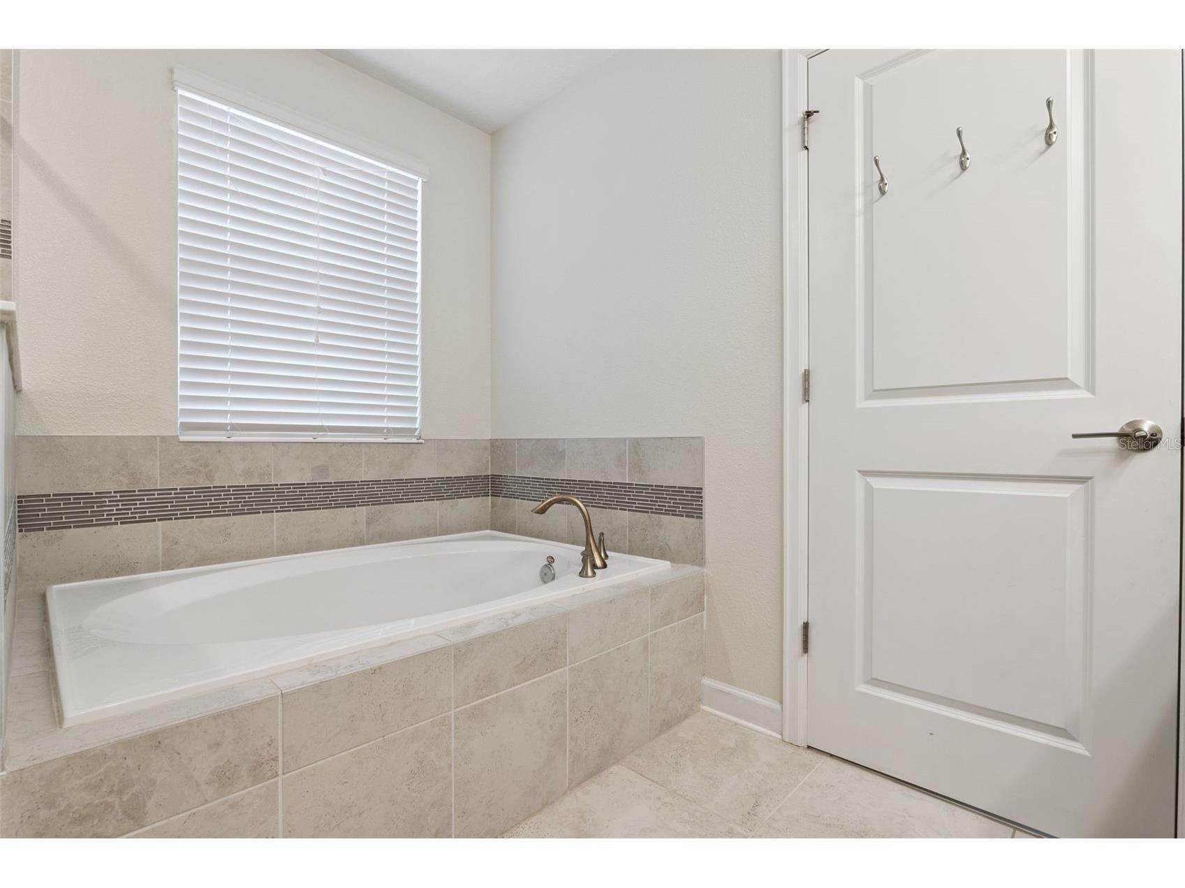 11813 Fiction Avenue Orlando FL 32832 O6417529 image24