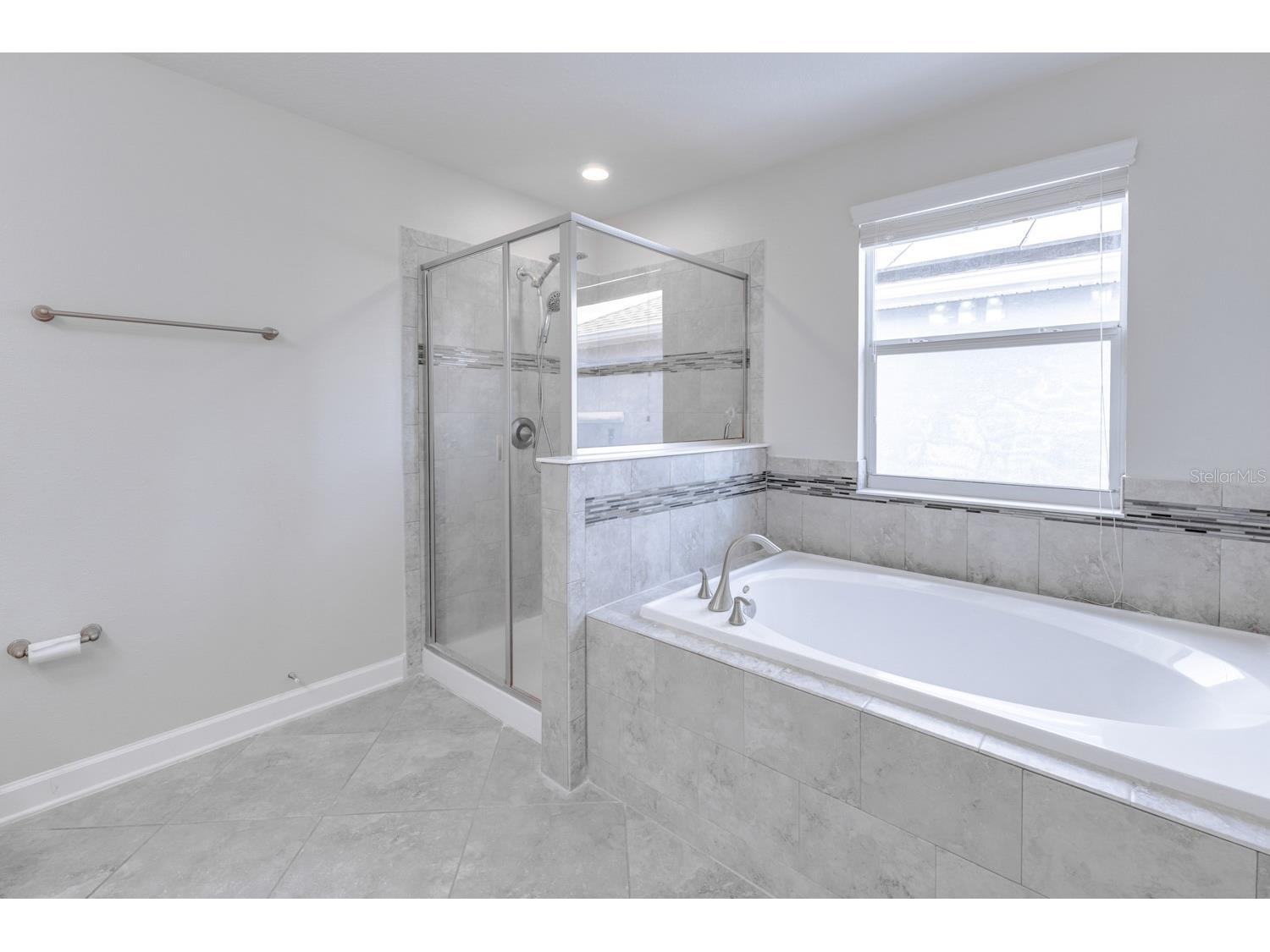 11813 Ginsberg Place Orlando FL 32832 S5141853 image28
