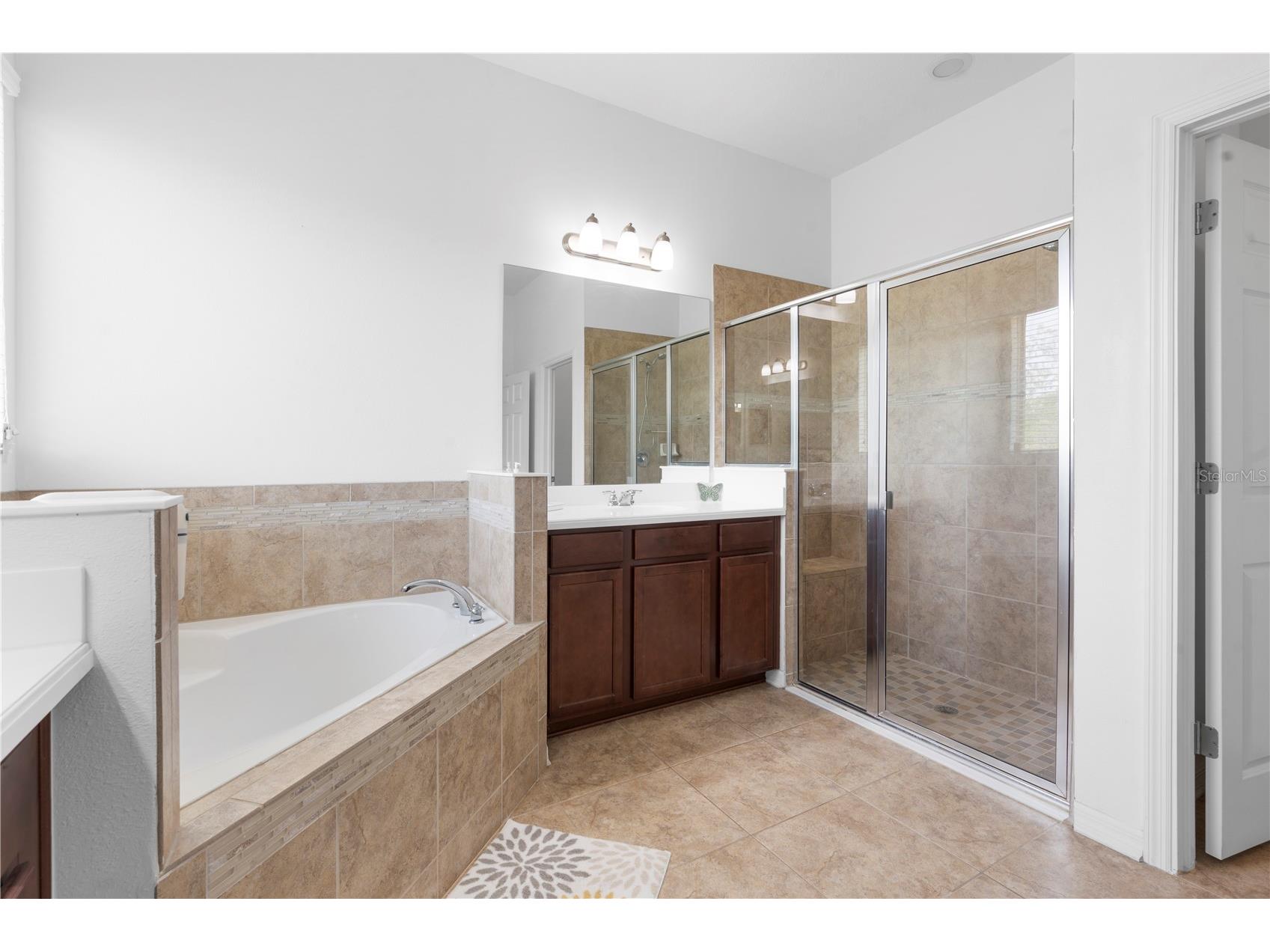 11814 Cross Vine Drive Riverview FL 33579 TB8492786 image37