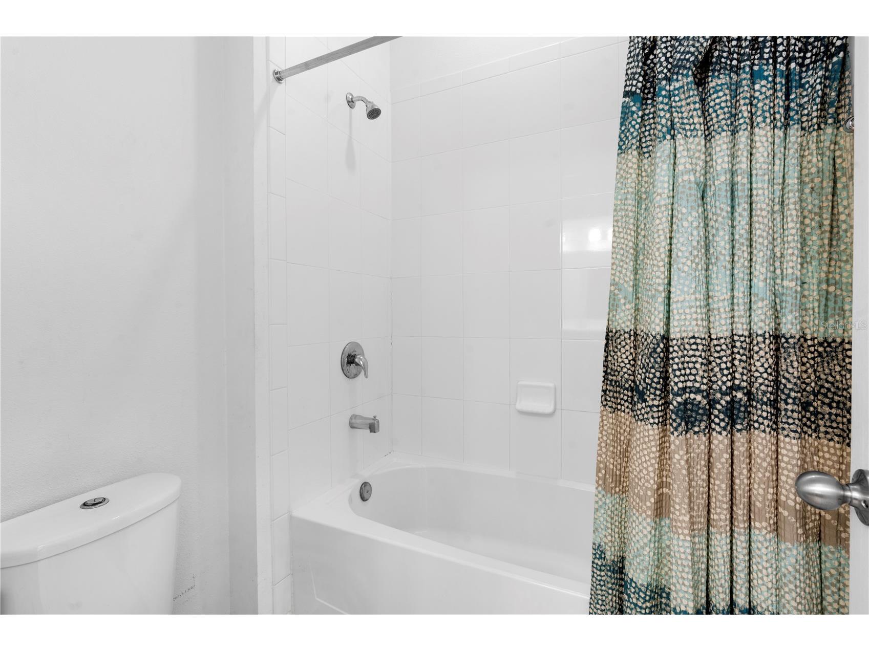 11814 Cross Vine Drive Riverview FL 33579 TB8492786 image47