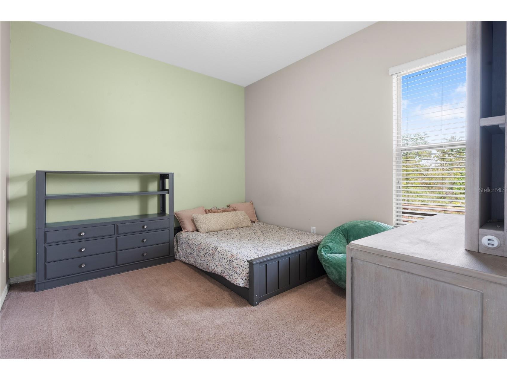 11814 Cross Vine Drive Riverview FL 33579 TB8492786 image53