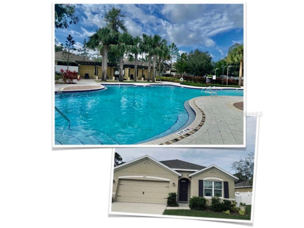 11814 Myrtle Rock Drive Riverview FL 33578 T3416033 image1