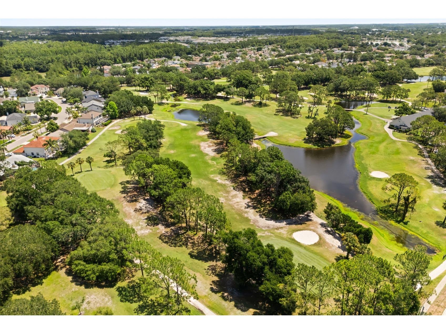 11814 Wildfire Way Tampa FL 33635 TB8511702 image41