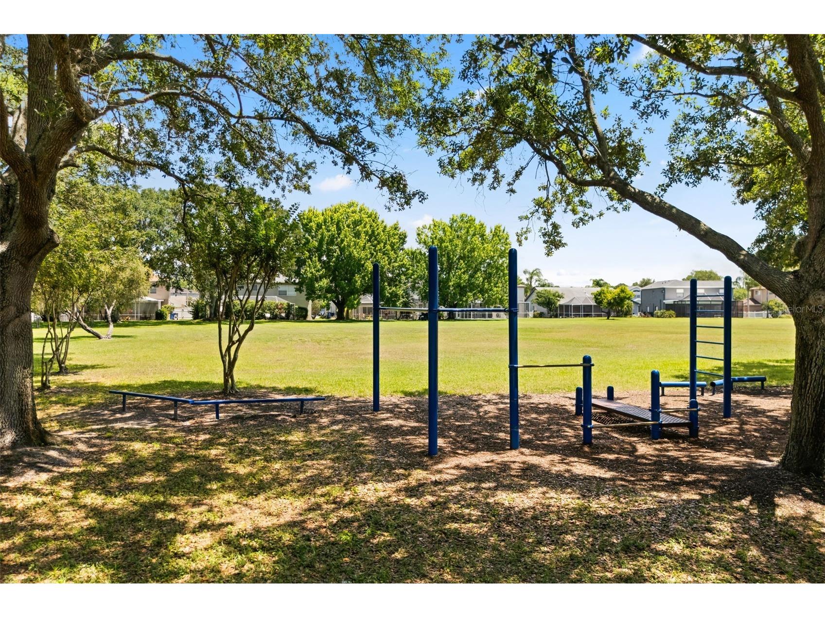 11814 Wildfire Way Tampa FL 33635 TB8511702 image45