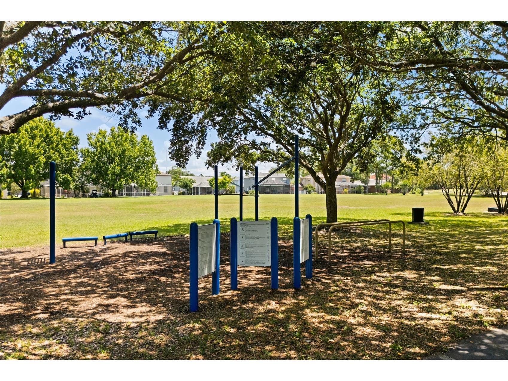 11814 Wildfire Way Tampa FL 33635 TB8511702 image46