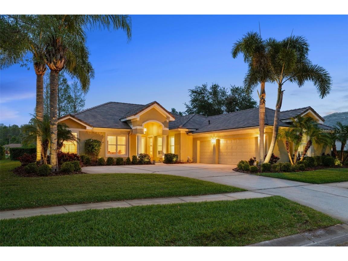 11815 Marblehead Drive Tampa FL 33626 TB8354400 image1