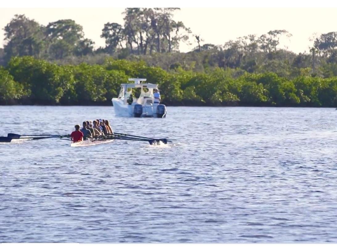 11815 River Shores Trail Parrish FL 34219 - THE MANATEE RIVER A4670744 image12