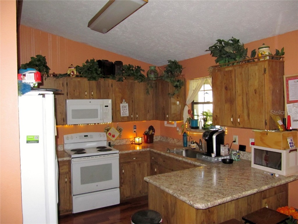 11815 SE 84th Avenue Belleview FL 34420 OM712719 image13