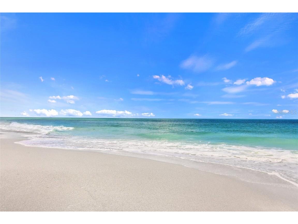 11815 Tempest Harbor Loop Venice FL 34292 N6131252 image47