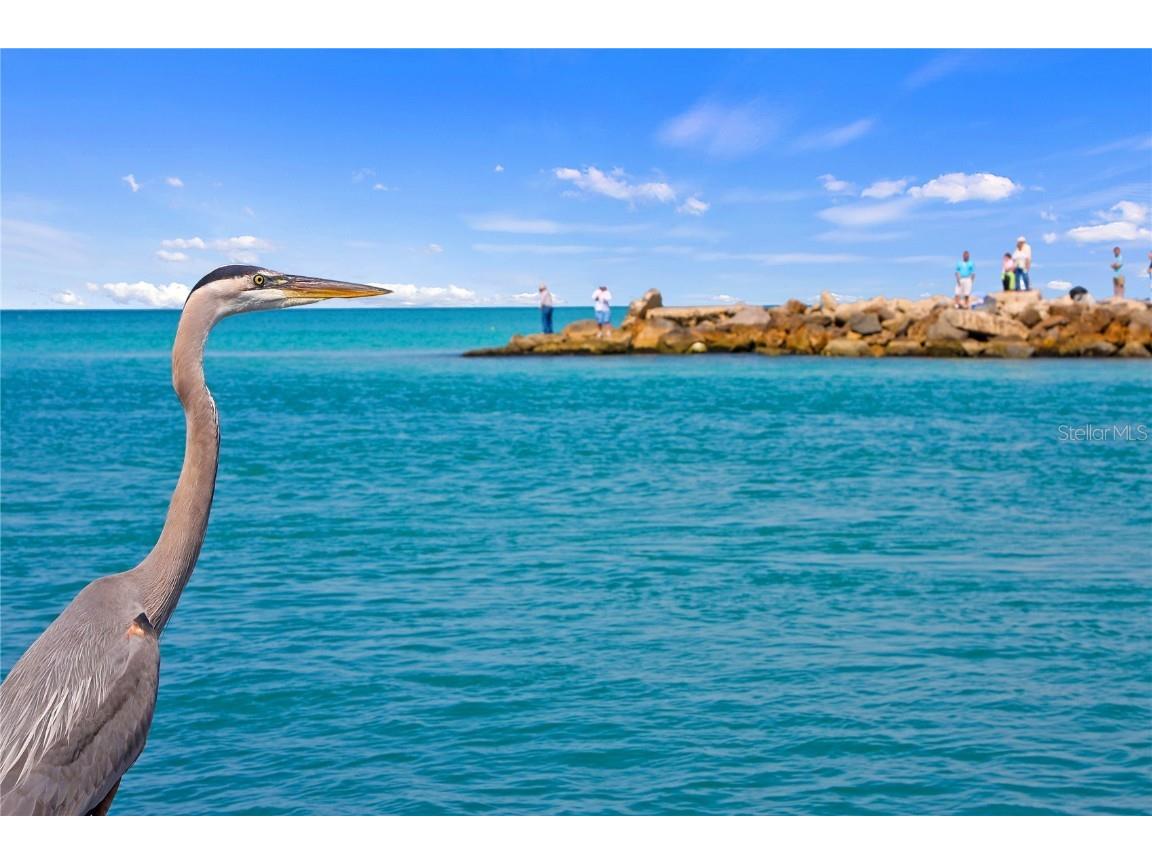 11815 Tempest Harbor Loop Venice FL 34292 N6131252 image61