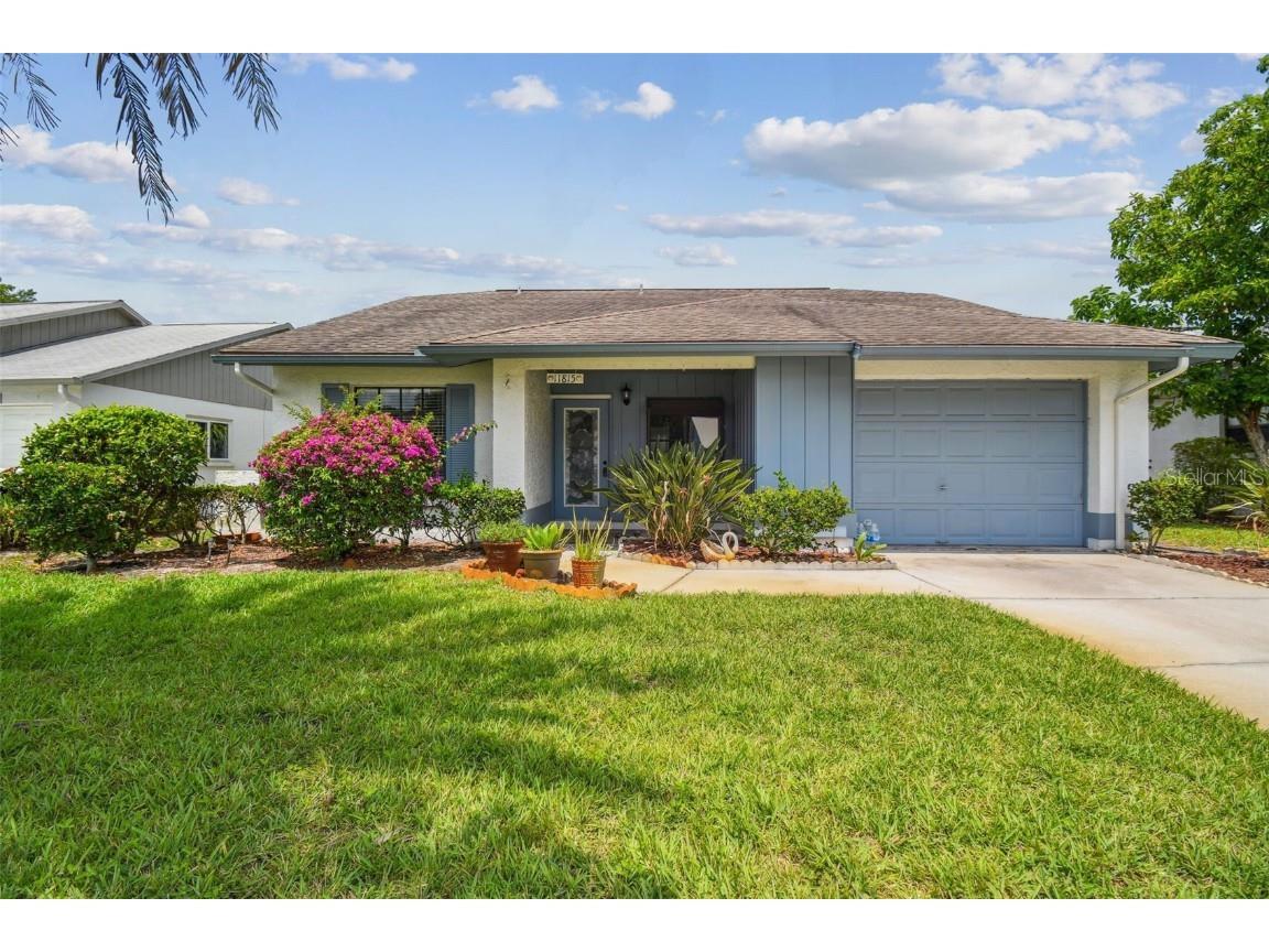 11815 Wax Myrtle Court New Port Richey FL 34654 T3529642 image1