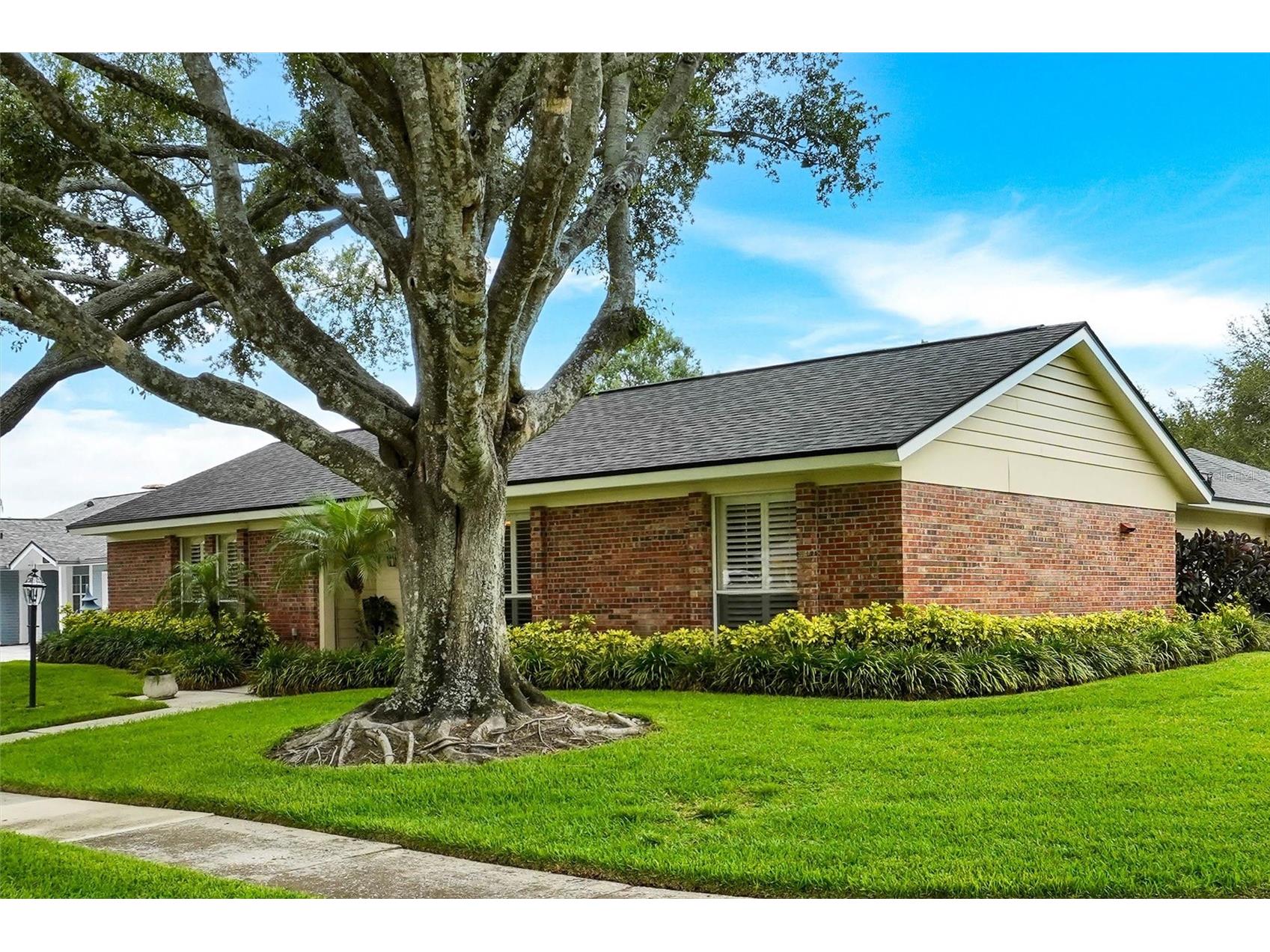 11816 Lipsey Road Tampa FL 33618 TB8511972 image3