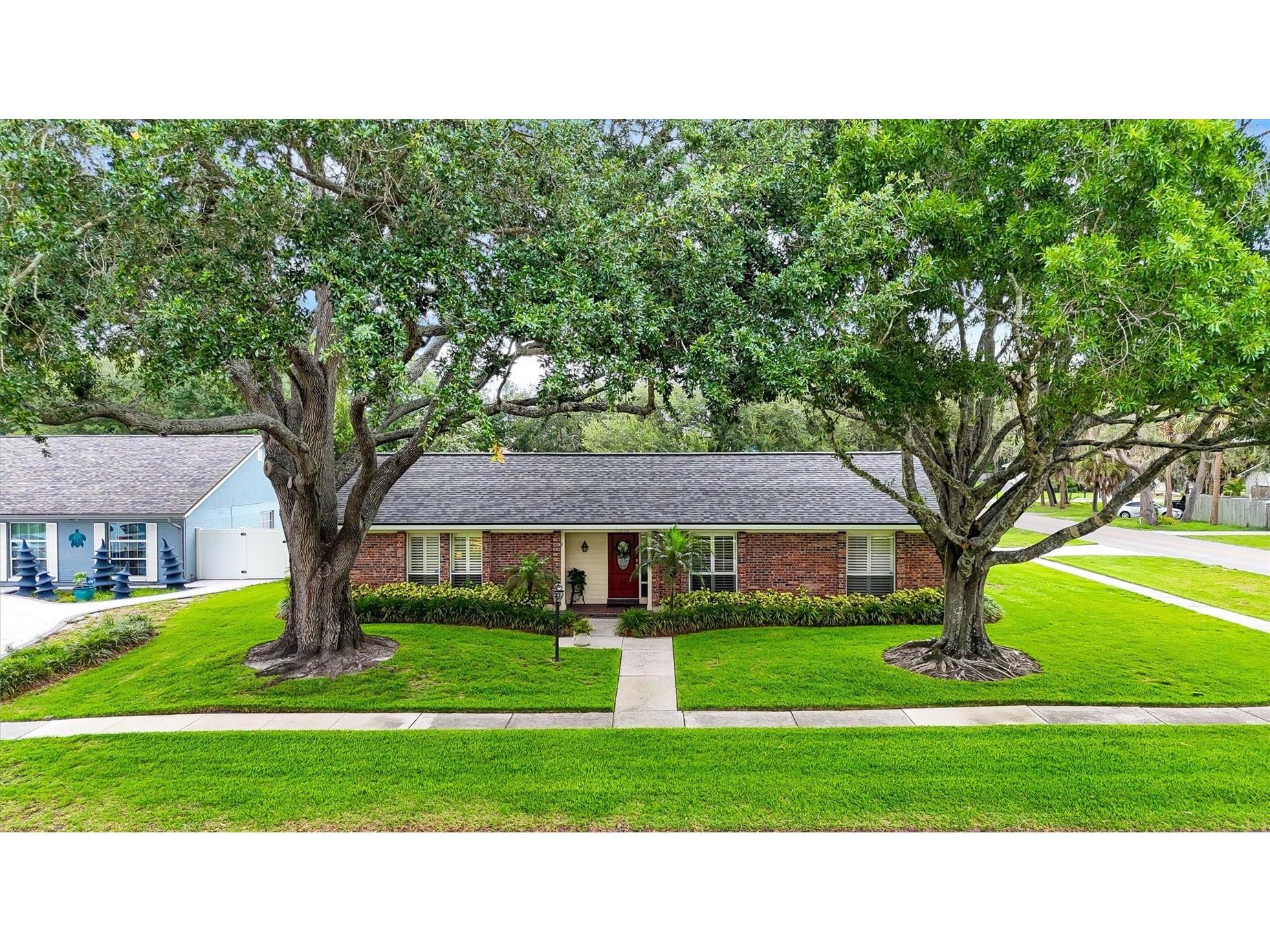 11816 Lipsey Road Tampa FL 33618 TB8511972 image41