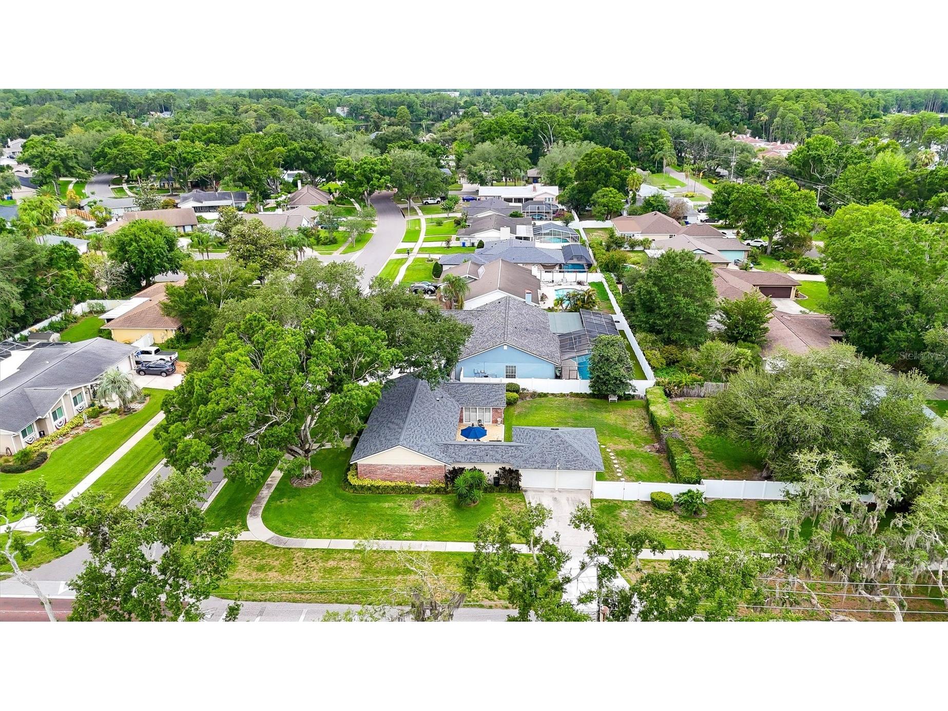11816 Lipsey Road Tampa FL 33618 TB8511972 image43