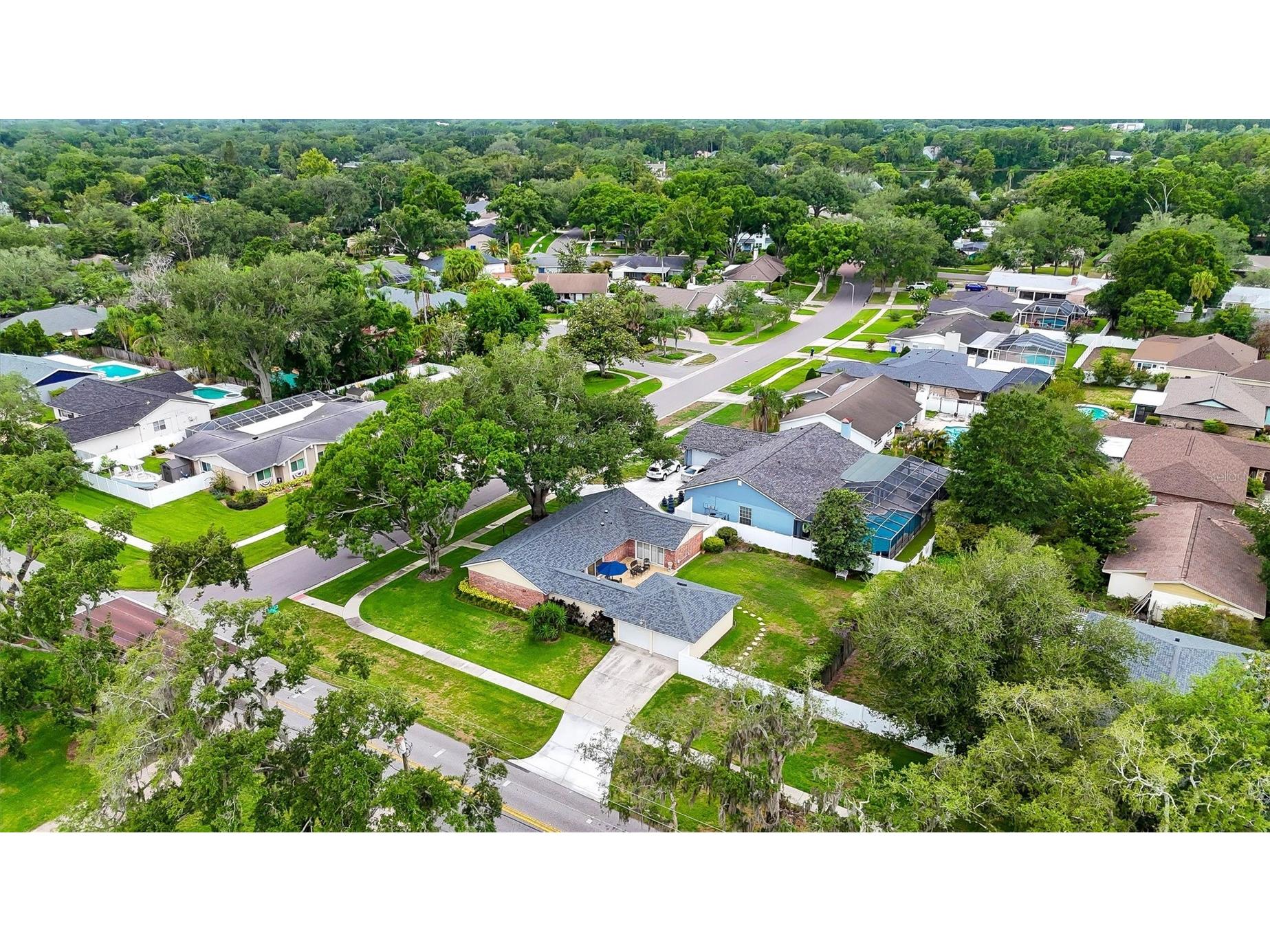 11816 Lipsey Road Tampa FL 33618 TB8511972 image44