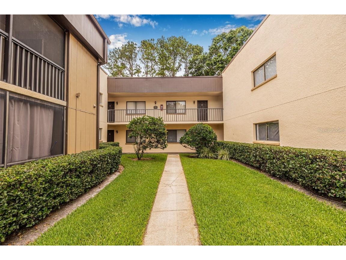 11816 Raintree Lake Lane #B Tampa FL 33617 TB8390729 image1