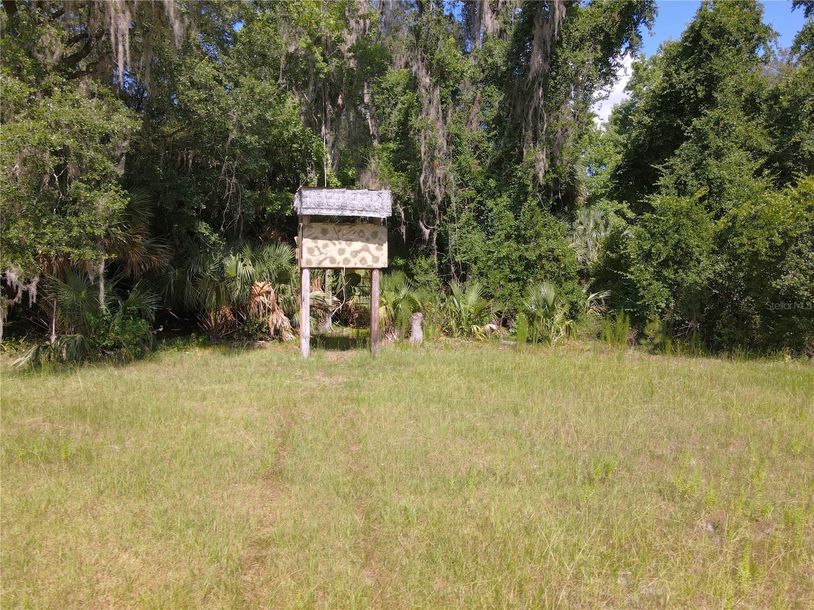 11816 SE County Road 234 Micanopy FL 32667 - STAFFORD POND GC538206 image31