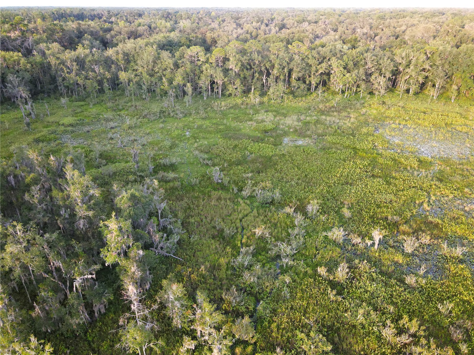11816 SE County Road 234 Micanopy FL 32667 - STAFFORD POND GC538206 image46