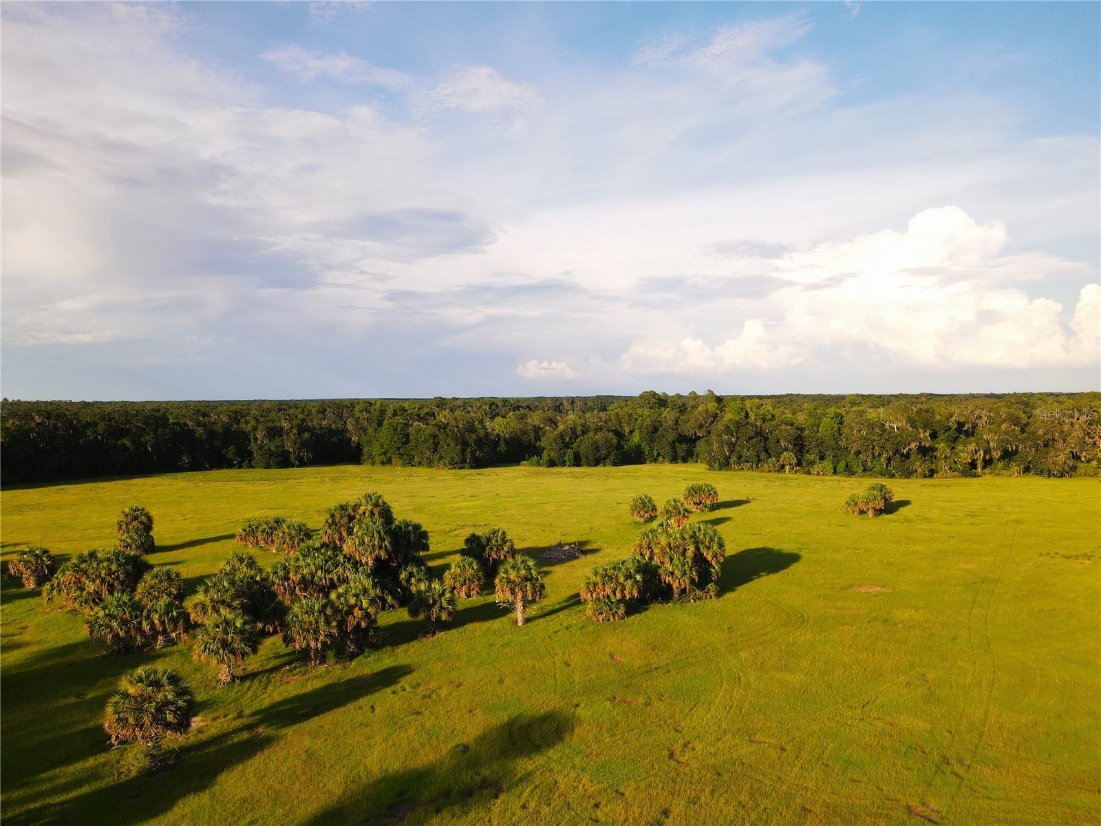 11816 SE County Road 234 Micanopy FL 32667 - STAFFORD POND GC538206 image83