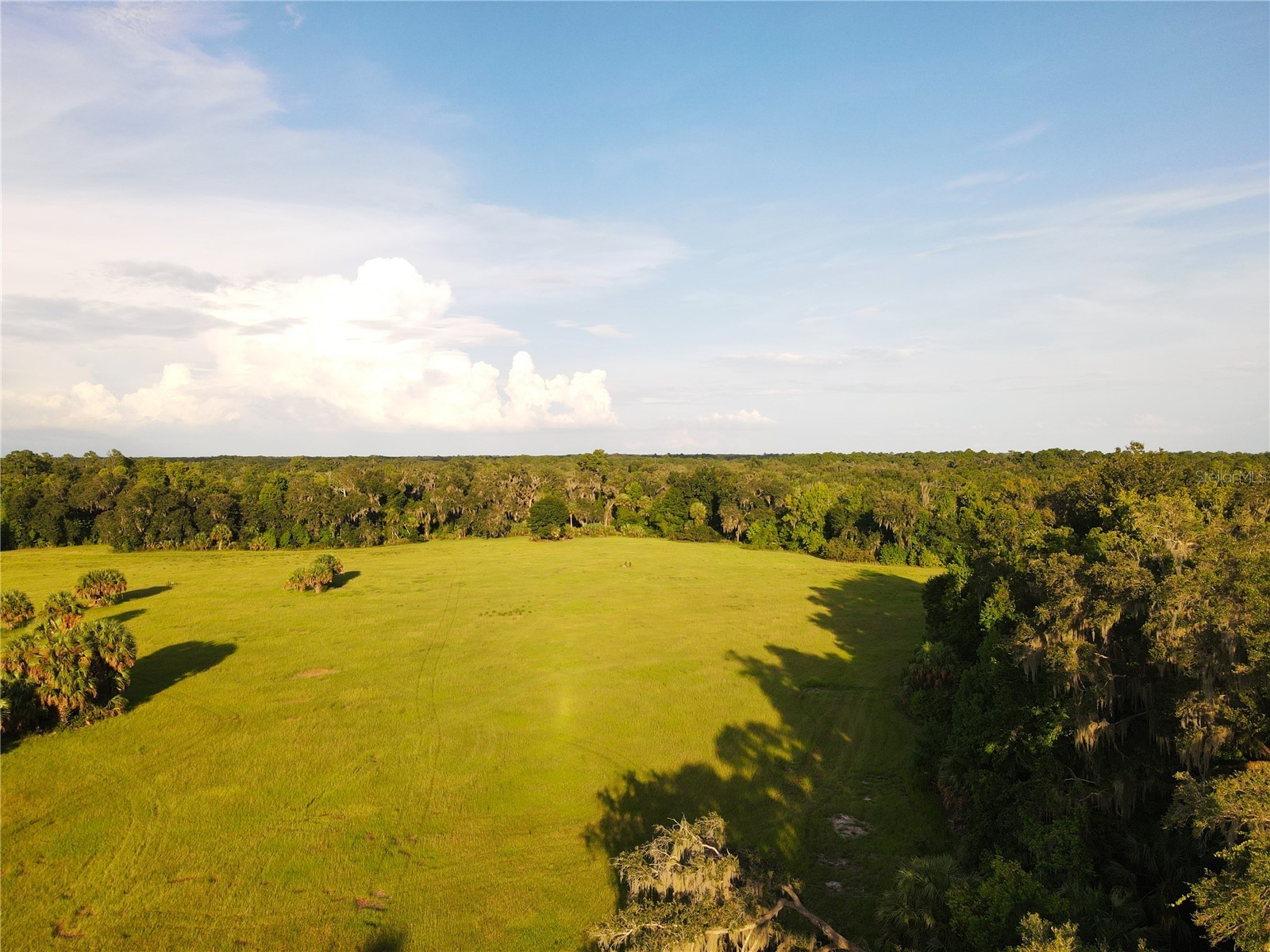 11816 SE County Road 234 Micanopy FL 32667 - STAFFORD POND GC538206 image84