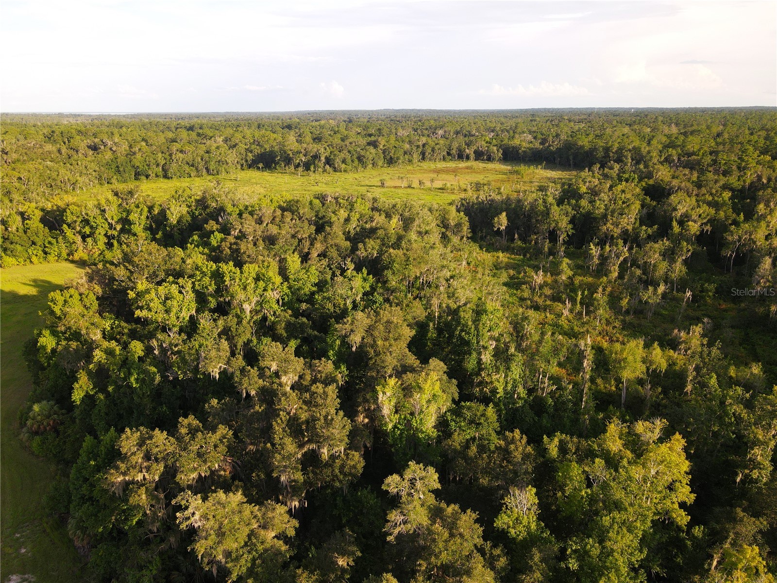 11816 SE County Road 234 Micanopy FL 32667 - STAFFORD POND GC538206 image85