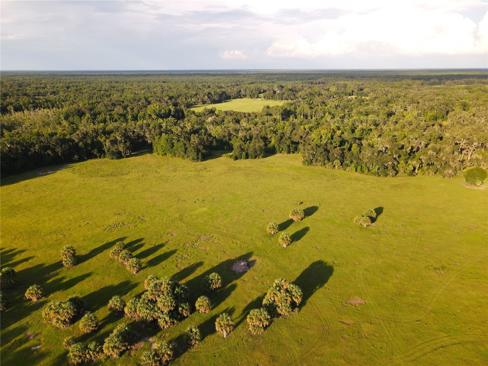 11816 SE County Road 234 Micanopy FL 32667 - STAFFORD POND GC538206 image86