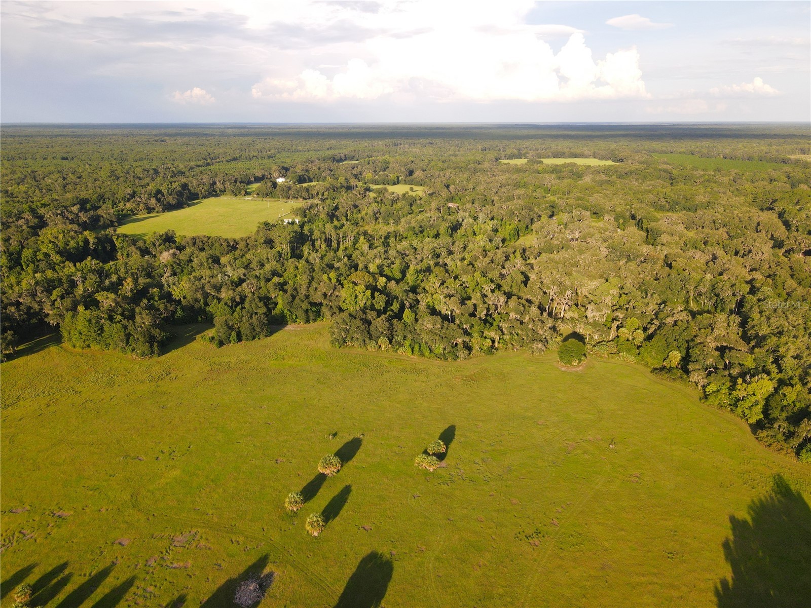 11816 SE County Road 234 Micanopy FL 32667 - STAFFORD POND GC538206 image87