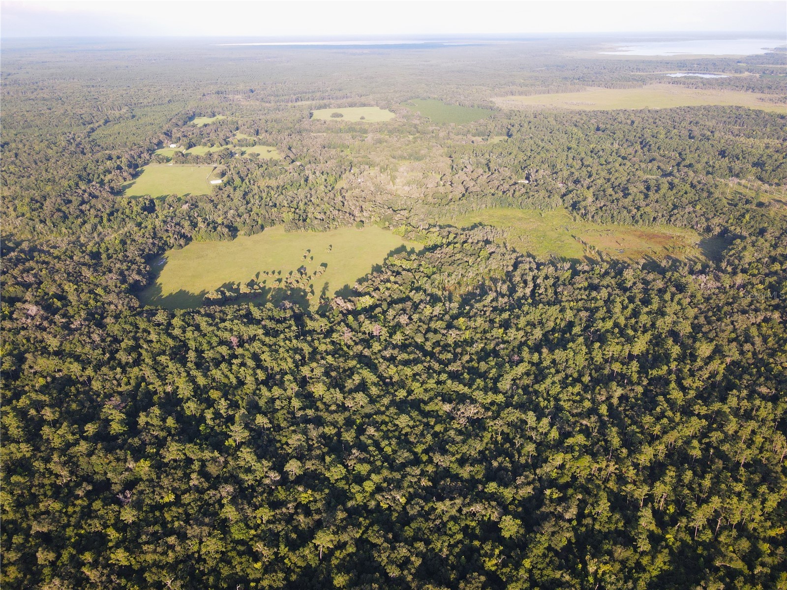 11816 SE County Road 234 Micanopy FL 32667 - STAFFORD POND GC538206 image88
