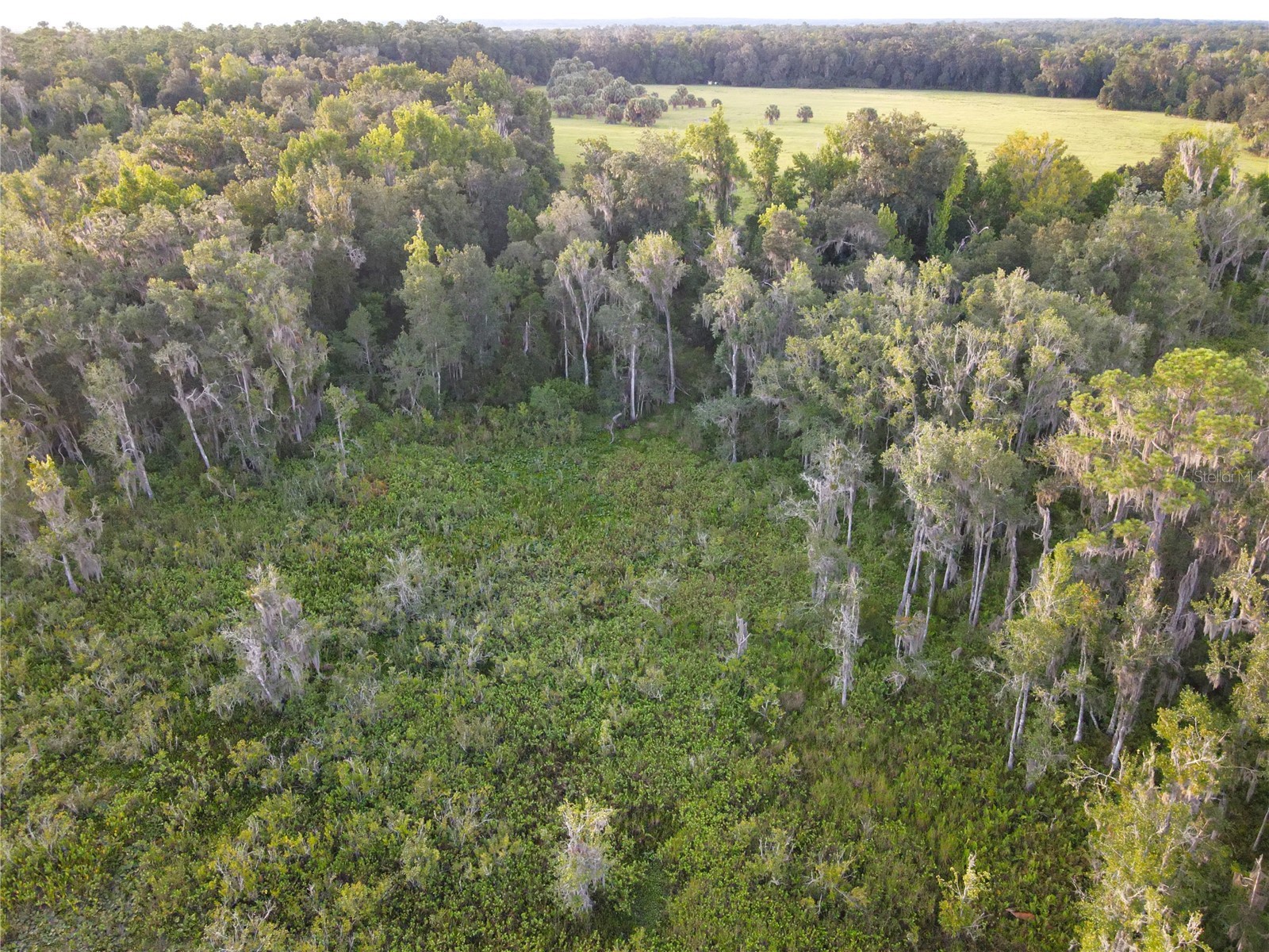 11816 SE County Road 234 Micanopy FL 32667 - STAFFORD POND GC538206 image92
