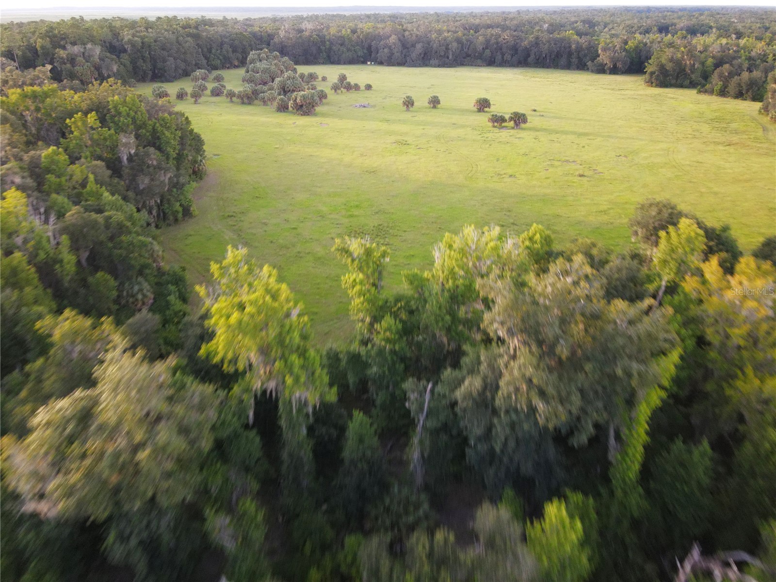 11816 SE County Road 234 Micanopy FL 32667 - STAFFORD POND GC538206 image93