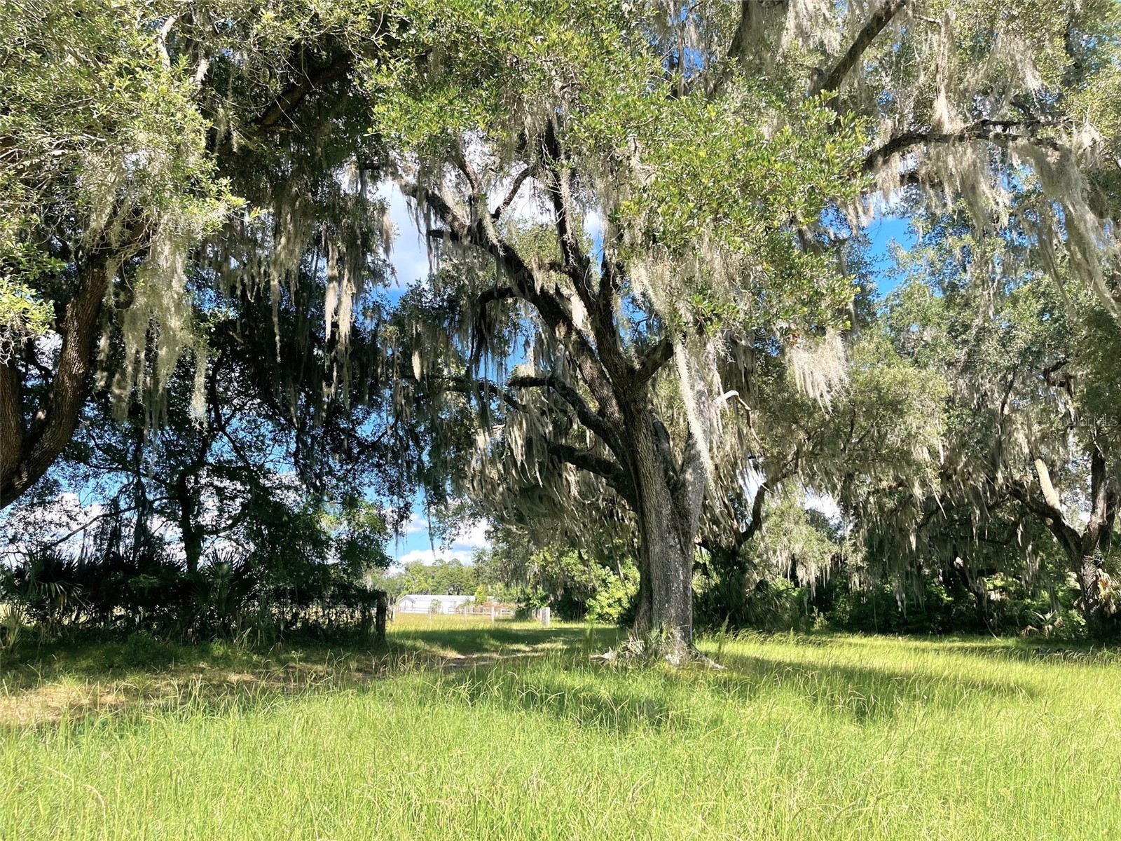 11816 SE County Road 234 Micanopy FL 32667 - STAFFORD POND GC539603 image37