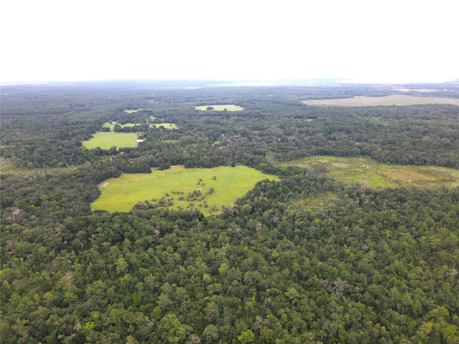 11816 SE County Road 234 Micanopy FL 32667 - STAFFORD POND GC539603 image72