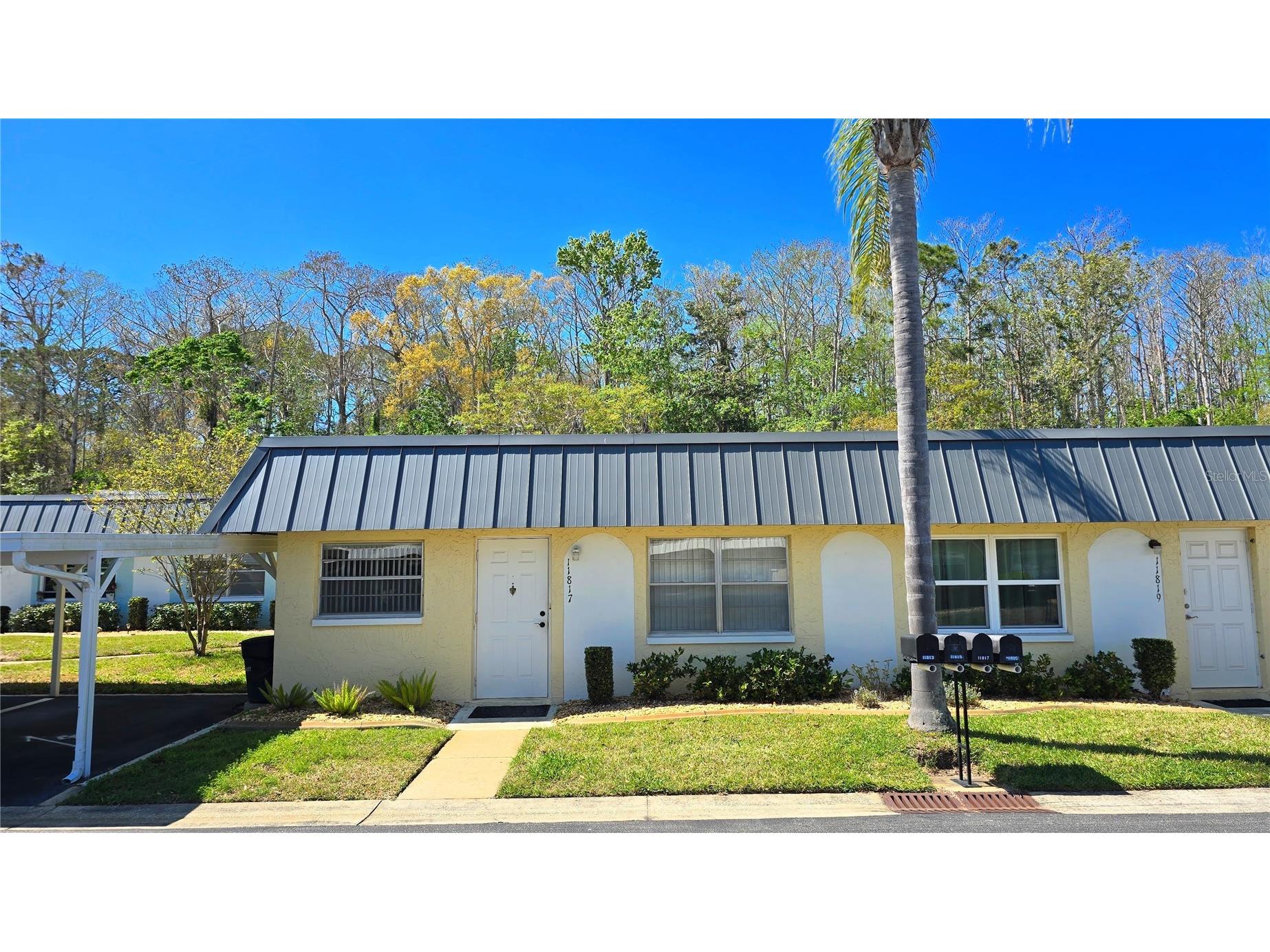 11817 Bayonet Lane New Port Richey FL 34654 W7873377 image1