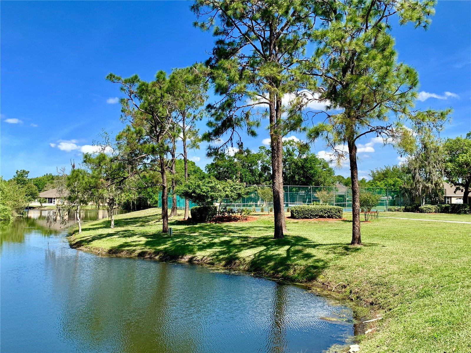 11817 Bayonet Lane New Port Richey FL 34654 W7873377 image32