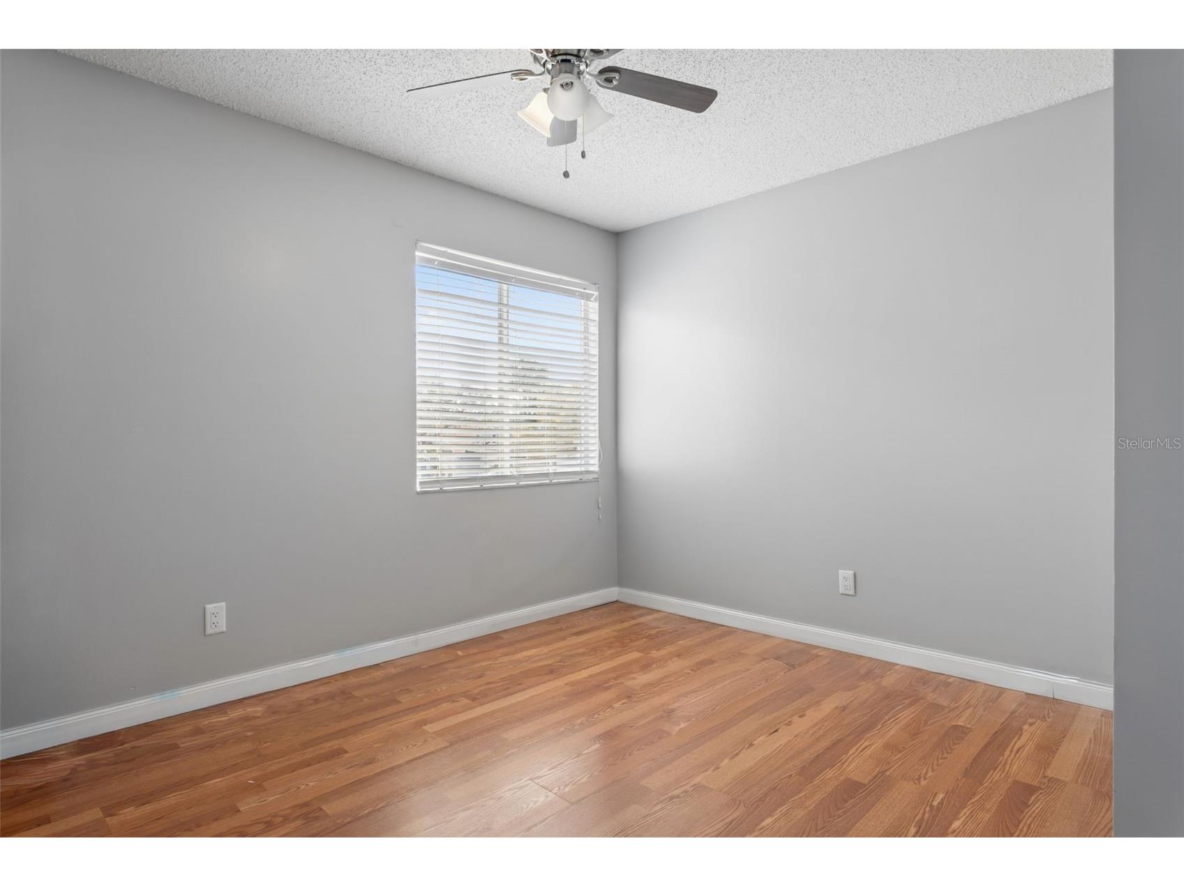11817 Branch Mooring Drive Tampa FL 33635 TB8484209 image16