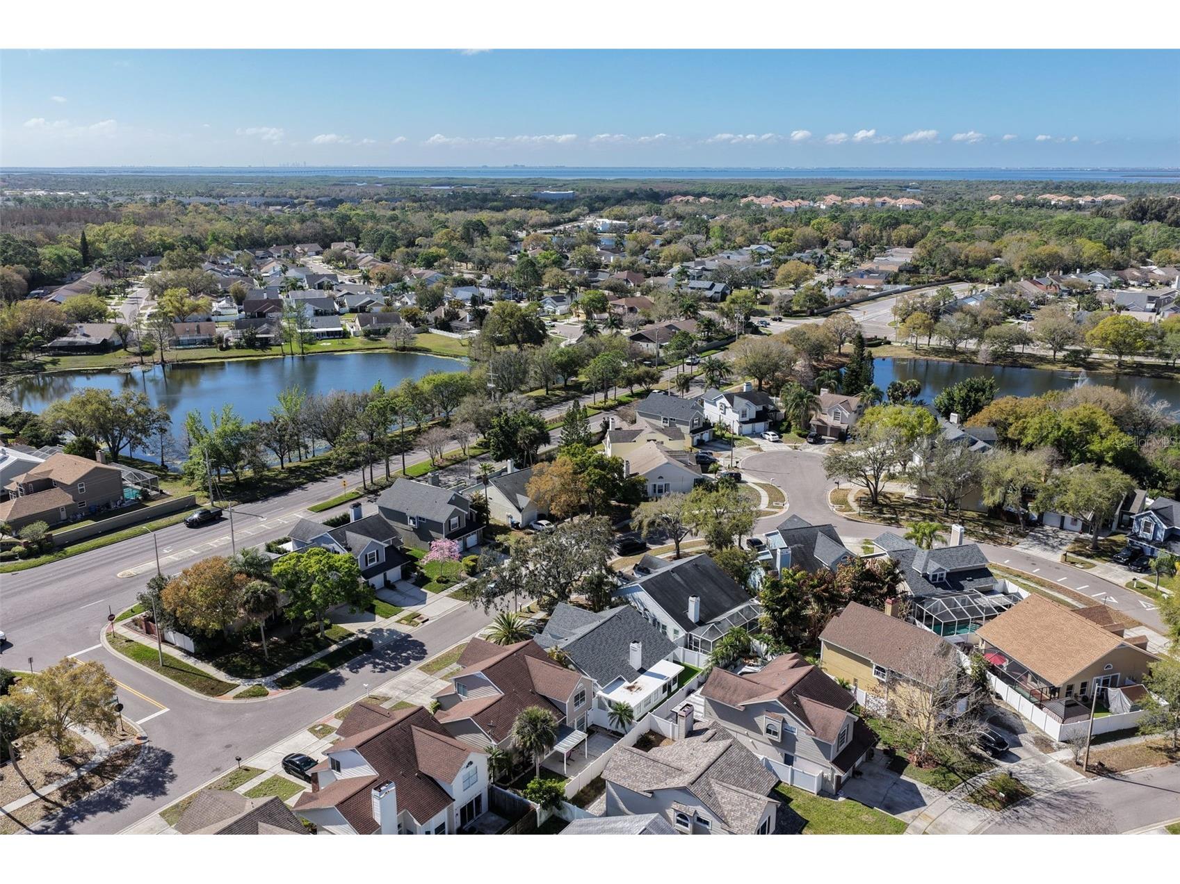 11817 Branch Mooring Drive Tampa FL 33635 TB8484209 image21