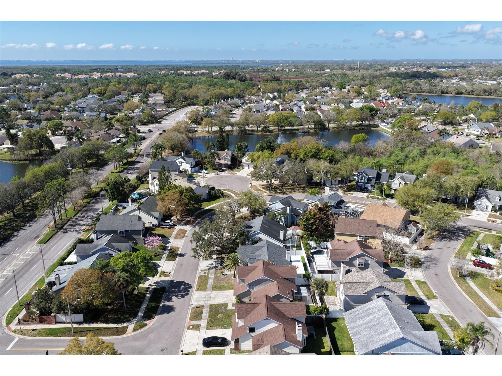 11817 Branch Mooring Drive Tampa FL 33635 TB8484209 image22